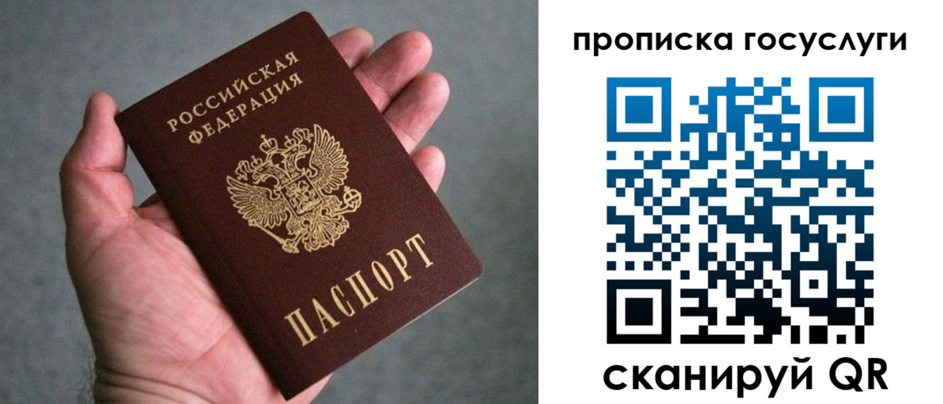 прописка 2025 в Тайге